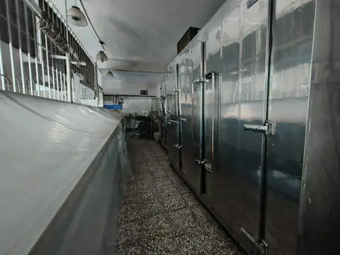 Local en Alquiler 15 años