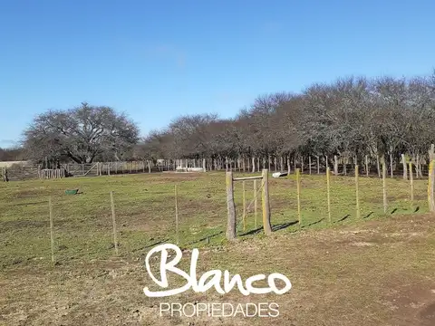 Campo  en Venta en Winifreda, Conhelo, La Pampa