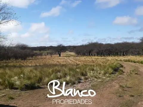Campo  en Venta en Winifreda, Conhelo, La Pampa