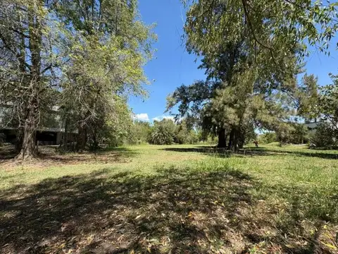 Terreno en Venta 63  mts Fondo