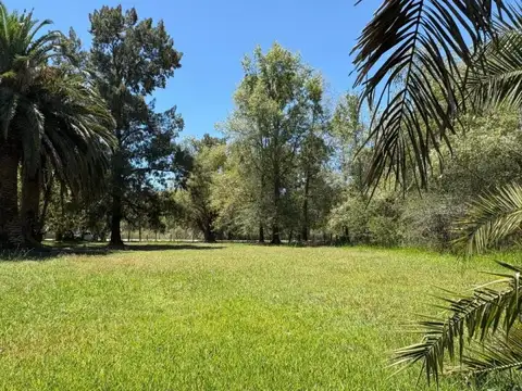 Terreno en Venta 25  mts Frente