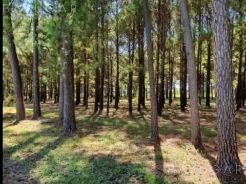 Venta - Lote Central con Vista al Golf en Pinares Country Club