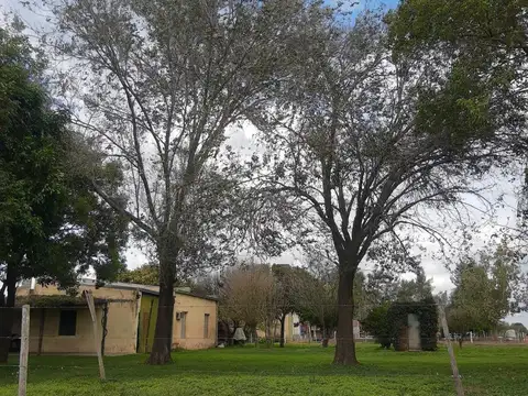 Terreno en Venta 50  mts Frente