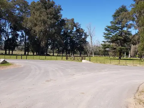 RUTA 8