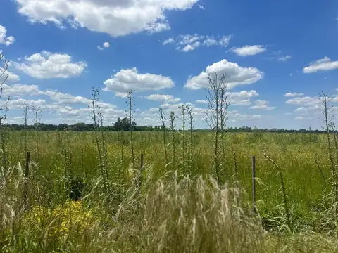 CAMPO EN VENTA ETCHEGOYEN LUJAN EXALTACION DE LA CRUZ