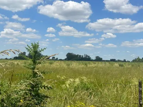 Campo en Venta de 5  ha