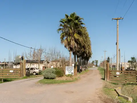 Los Fresnos 100