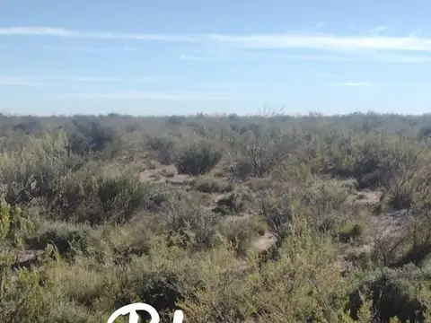 La Reforma - La Pampa -