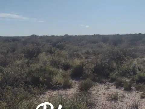 Terreno Campo  en Venta en La Pampa, Argentina
