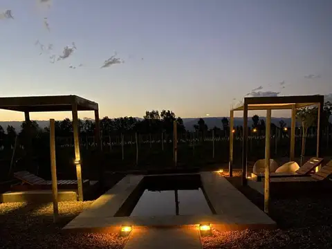 VENTA COMPLEJO TURISTICO CON VIÑAS  Y FINCA