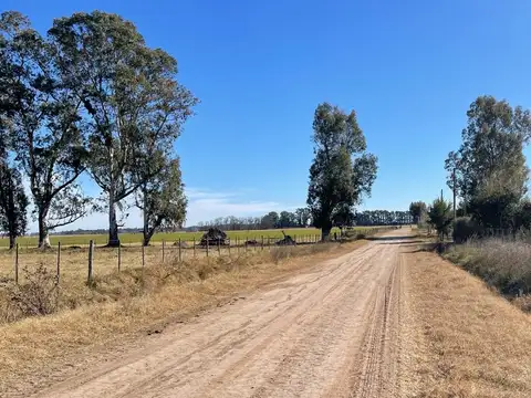 Terreno en Venta en Salvador María, USD 25.000