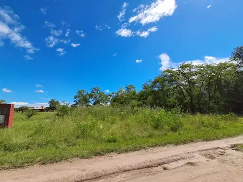 Terreno 1.000m2 Punto Claro