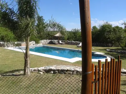 Los Mandarinos 3300