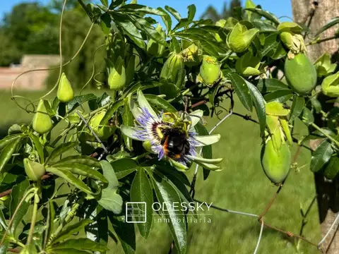 Terreno en Venta de 1254,0 m2