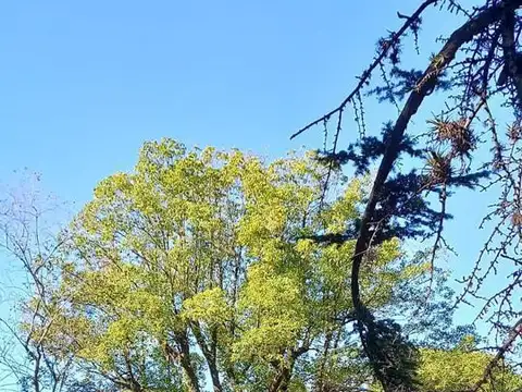 Terreno en Venta de 1220,0 m2