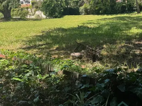 Gobernador Arana al 1400