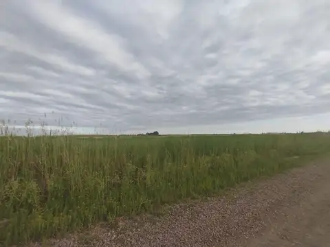 CALLEJON FERRER  al 6400