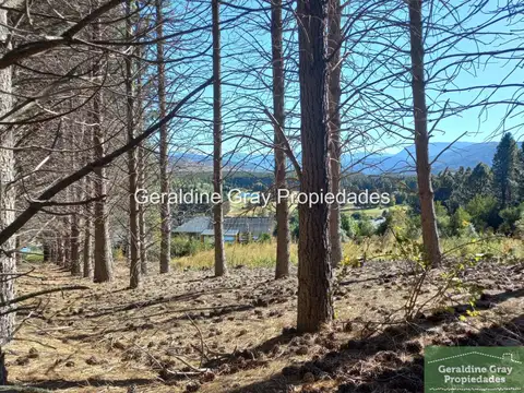 Barrio Privado Chapelco Golf &