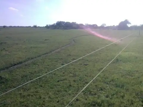 Campo en venta Aguará Grande