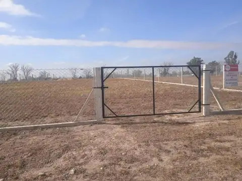 Consultar dirección