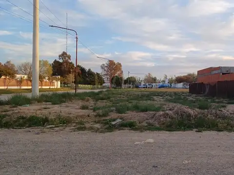 Terreno en Venta en General Roca, USD 33.000