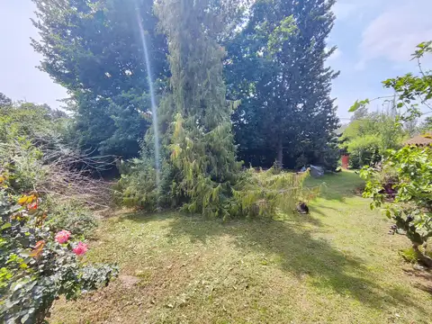 Elcira de Escalante 1575
 1500