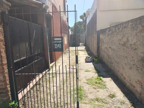 Serrano