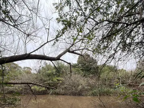 Venta Campo 19 Has sobre arroyo Sarandí Costa Azul