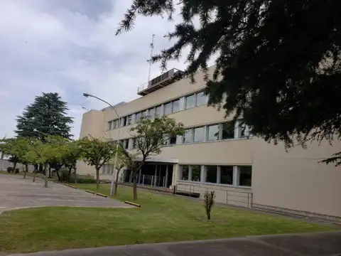 Oficina en Alquiler A Estrenar