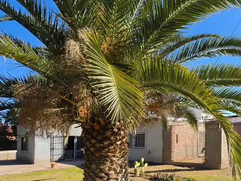 Chacras de coria -Piedras 100