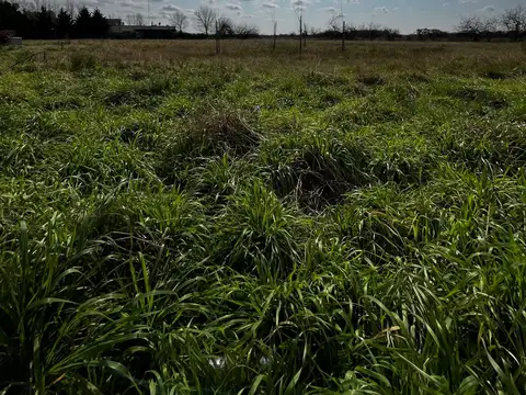 Hipolito Irigoyen 100