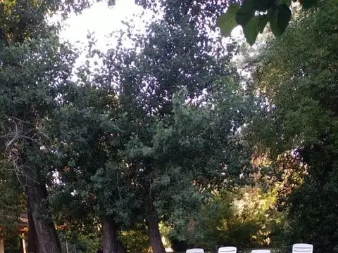 Quinta en Alquiler en Parque Exaltación, $ 1.500.000