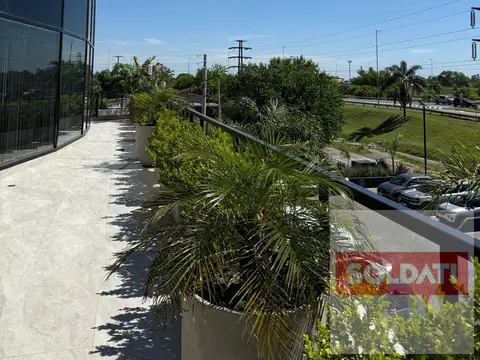 Brickell Tigre - Solis al 1900