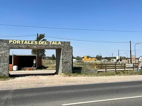 Ruta Provincial C45 Km 20
