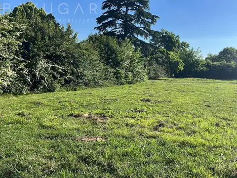 Terreno en Venta 50  mts Fondo