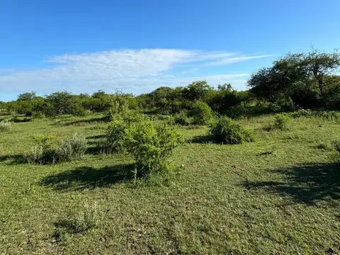 Campo en Venta Chacra