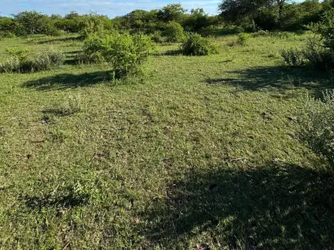 Campo en Venta Chacra