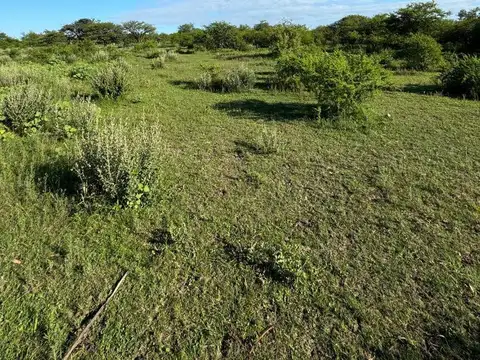 Campo 6 hectareas Sauce Corrientes