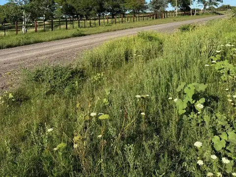 Campo en Venta de 6  ha