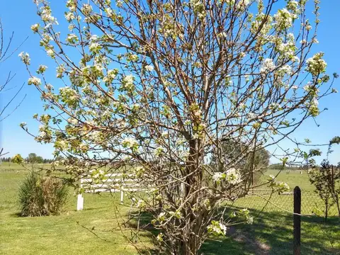 Terreno en Venta, FOS 1