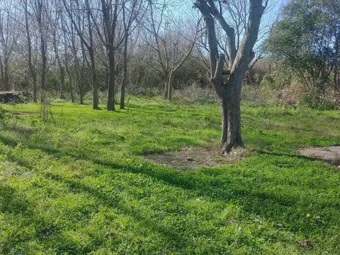 Terreno en Los Talas  - 19.000 Mts.
