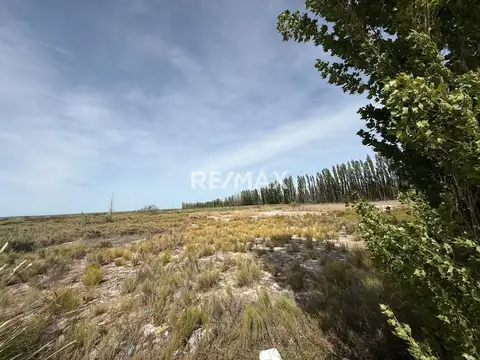 Terreno en Alquiler de 150000,0 m2