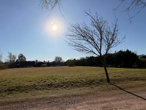 Lote en Causana