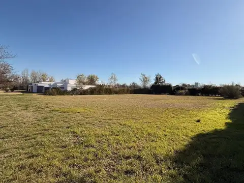 Terreno en Venta 42  mts Frente