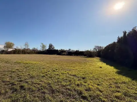 Terreno en Venta 49  mts Fondo