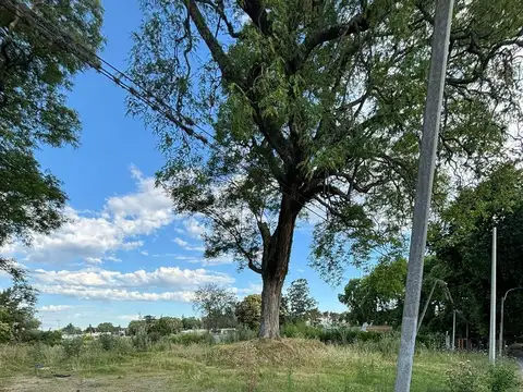 Terreno en Venta de 3615,0 m2