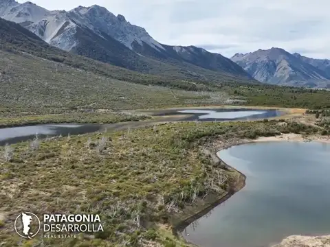 cholila
