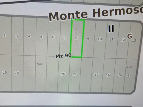 manzana al 300