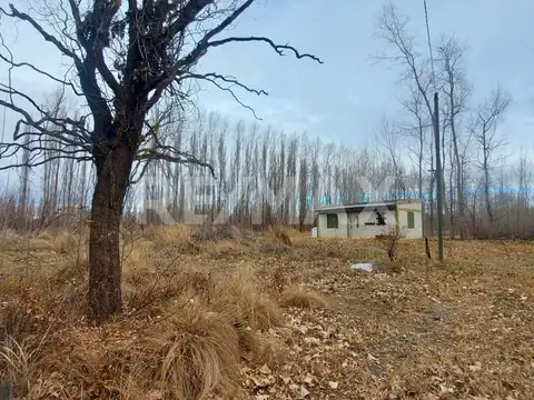 VENTA CHACRA 5,42 HA - SENILLOSA