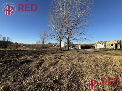 A. Lola Mora - Lote 40